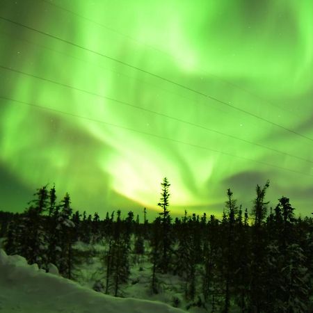 Aurora Deluxe Guest House Yellowknife Esterno foto