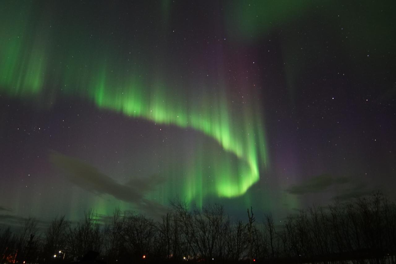Aurora Deluxe Guest House Yellowknife Esterno foto